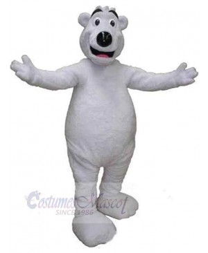 Bear mascot costume