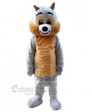 Squirrel mascot costume