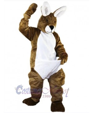 Easter Bunny Rabbit mascot costume