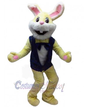 Easter Bunny Rabbit mascot costume