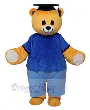 Bear mascot costume