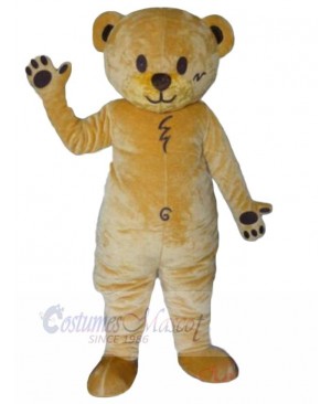 Bear mascot costume