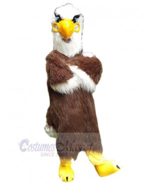 Eagle Hawk mascot costume