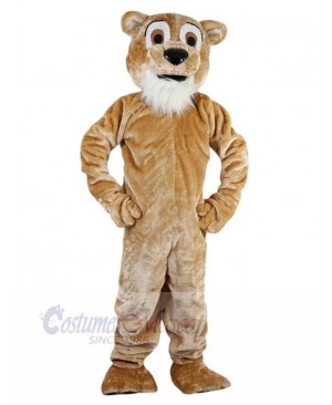 Lion mascot costume