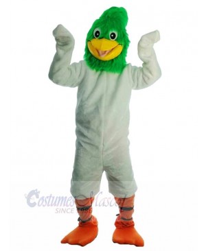 Bird mascot costume