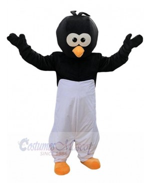 Crow Bird mascot costume