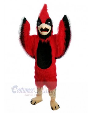 Bird mascot costume