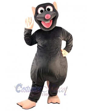 Rat Mouse mascot costume