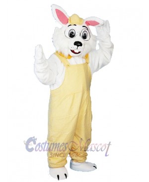 Bunny mascot costume