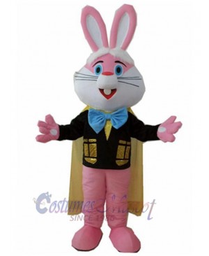 Rabbit mascot costume