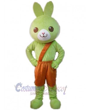 Rabbit mascot costume