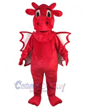 Dragon mascot costume