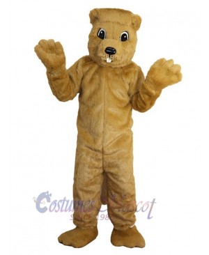 Gopher mascot costume