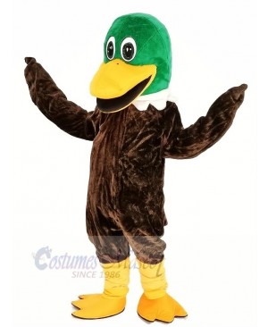 Green Head Mallard Duck Mascot Costume Animal