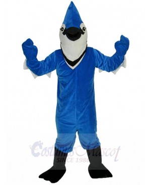 bird mascot costume