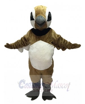 Cute Brown Quail Mascot Costume