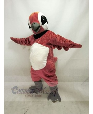 Red Brown Quail Mascot Costume Animal 