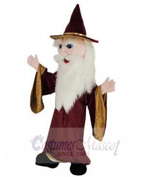 Merlin Wizard mascot costume