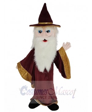 Merlin Wizard mascot costume