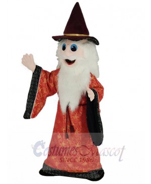 Merlin Wizard Mascot Costume Cartoon