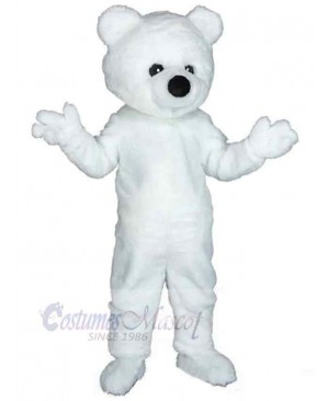 Bear mascot costume