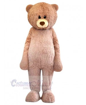Bear mascot costume