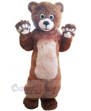 Bear mascot costume