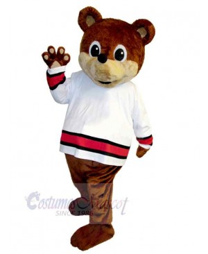 Bear mascot costume
