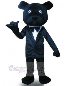 Bear mascot costume
