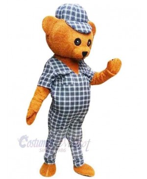 Bear mascot costume