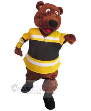 Bear mascot costume