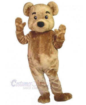 Bear mascot costume