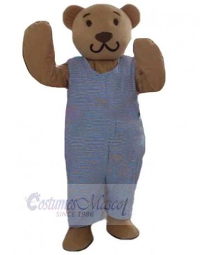 Bear mascot costume