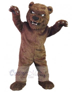 Bear mascot costume