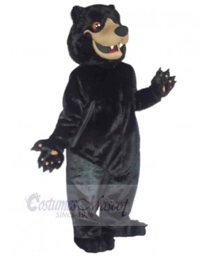 Bear mascot costume