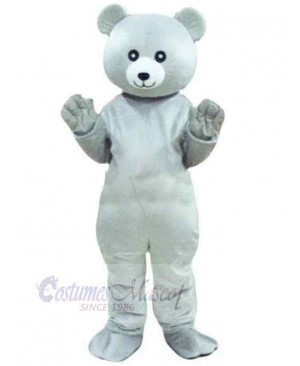 Bear mascot costume