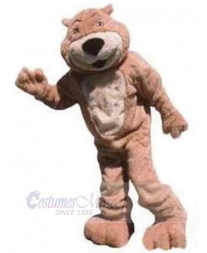 Bear mascot costume