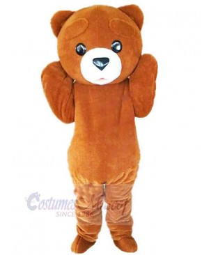 Bear mascot costume