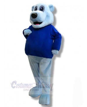 Bear mascot costume