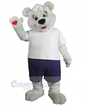 Bear mascot costume
