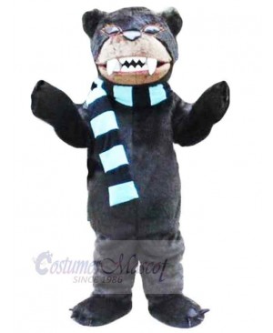 Bear mascot costume