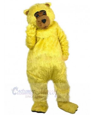 Bear mascot costume