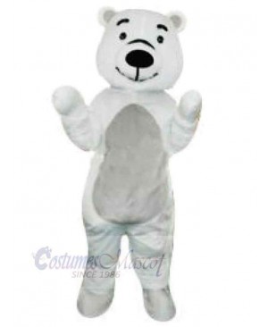 Bear mascot costume