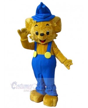 Bear mascot costume