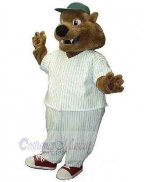 Bear mascot costume