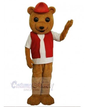 Bear mascot costume