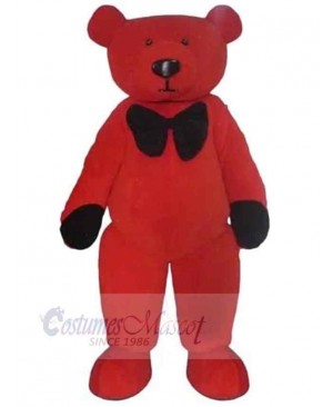 Bear mascot costume