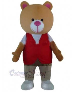 Bear mascot costume