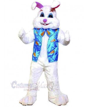 Bunny mascot costume