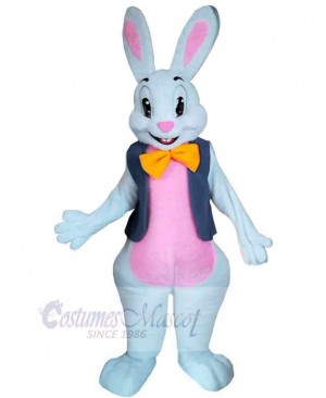 Bunny mascot costume